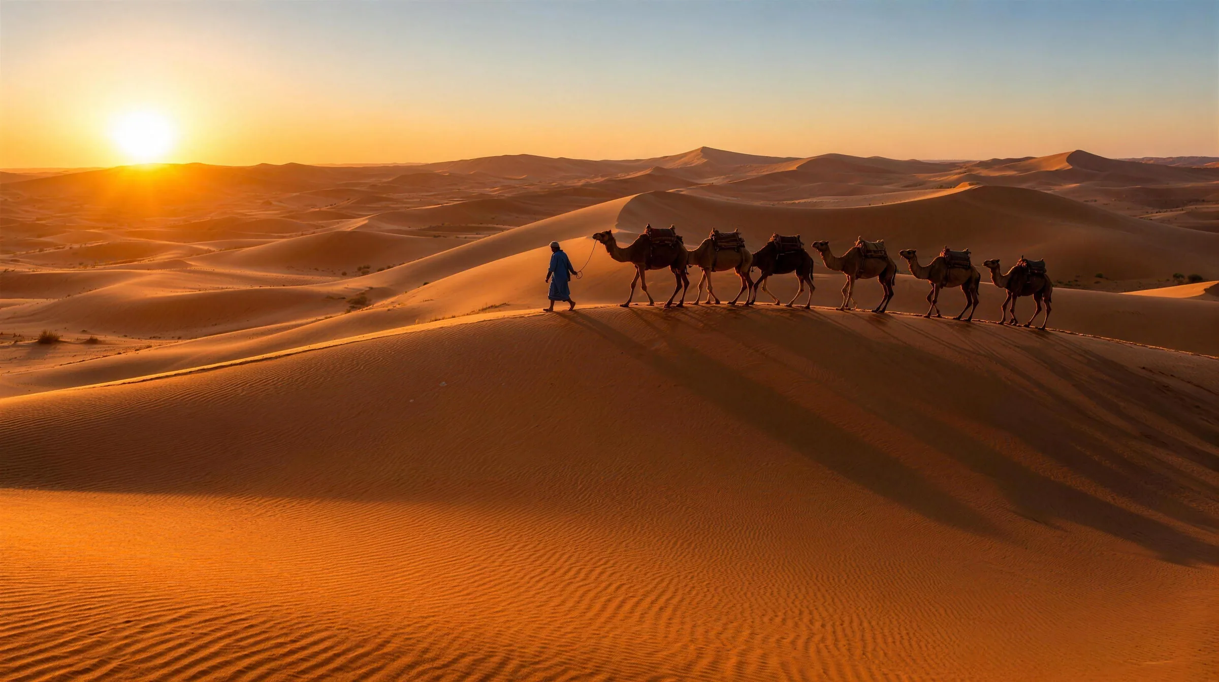 Private Excursions & Tours